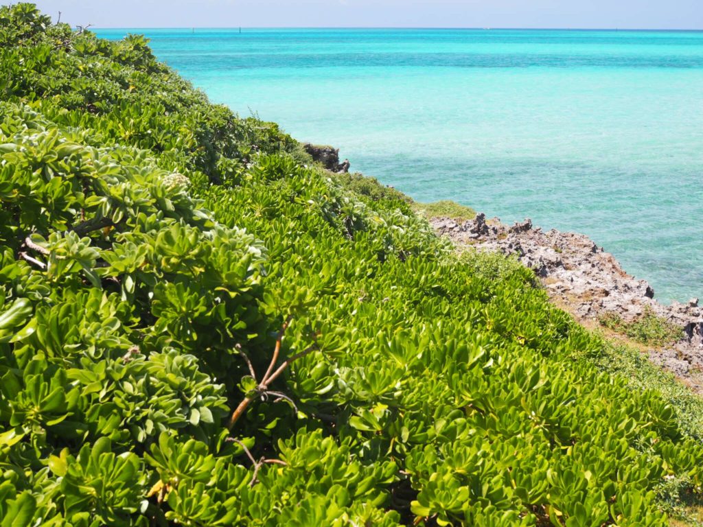 宮古島と石垣島の違い！海、食べ物、離島、都会度、性格まで徹底比較 - ミズイロノタビ