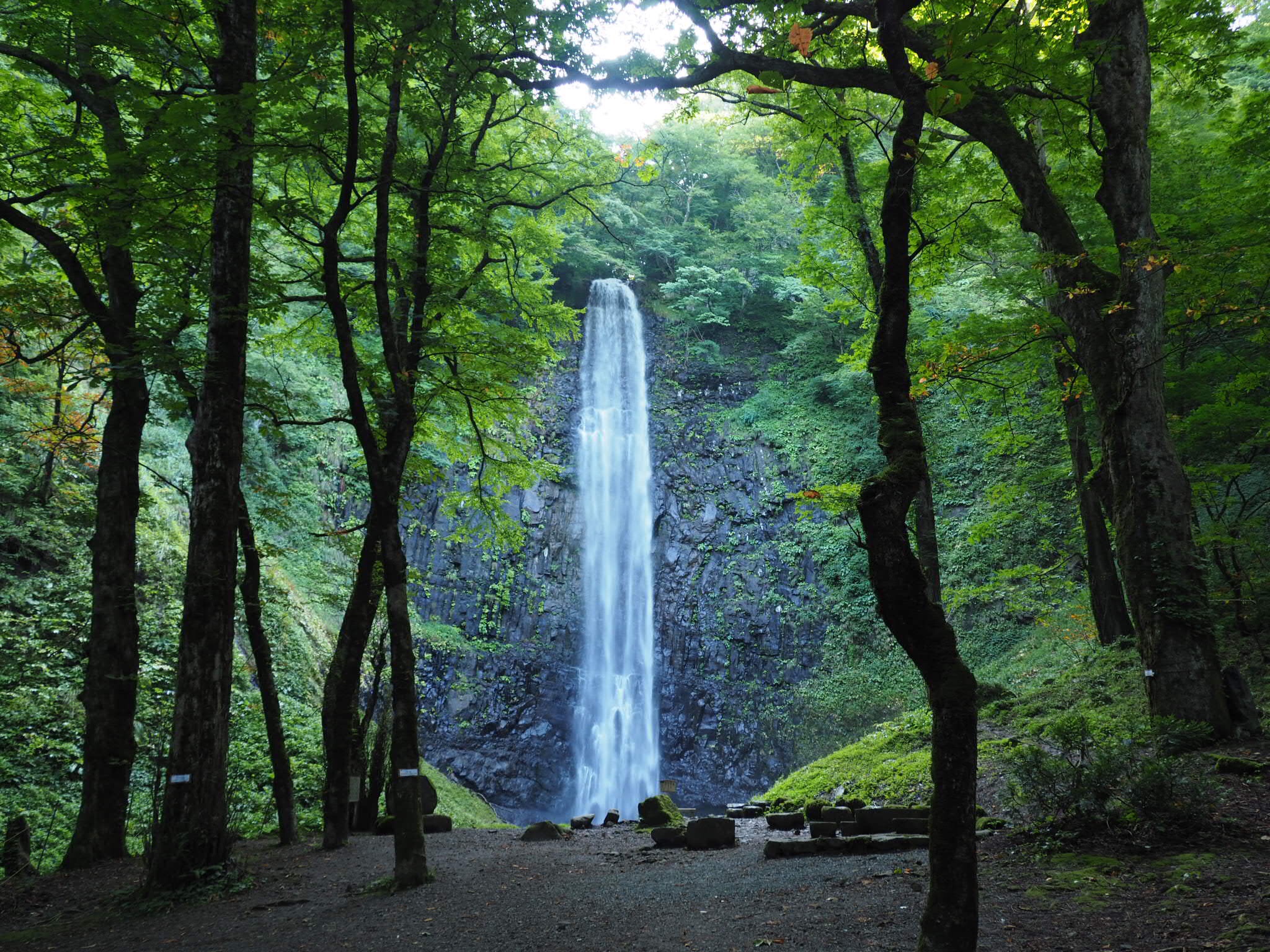 【真作】掛軸　玉耕銘　田舎風景と滝描写　伝統的日本画　滝と茅葺き家屋　Q98 真作】掛軸 玉耕銘 田舎風景と滝描写 伝統的日本画 滝